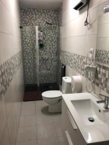 特拉萨马德里大道旅馆餐厅的带淋浴、卫生间和盥洗盆的浴室