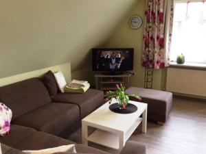 塔廷格Haus Fabricius的带沙发和电视的客厅