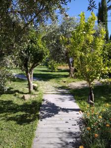 维迪堡Casa da Paleta的公园里种有树木和草地的走道