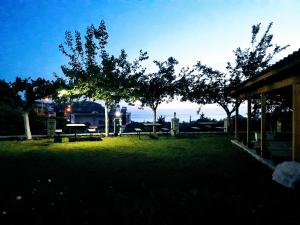 希马拉Agrotourism Himara的夜间带野餐桌和树木的公园