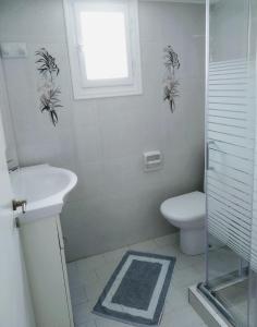 普拉提伊亚洛斯西弗诺斯Flora's Guesthouse的一间带卫生间、水槽和窗户的浴室