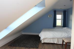 GreencastleThe Doc's self catering的一间卧室设有蓝色的墙壁和一张带窗户的床
