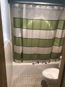 苏华德日落套房酒店的浴室设有绿色和白色的淋浴帘