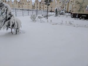 伊夫兰Bel appartement à Ifrane的一座大院,被雪覆盖,后方是一座建筑