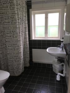 瓦斯泰纳Vadstena Vandrarhem-Hostel的一间带水槽和卫生间的浴室以及窗户。