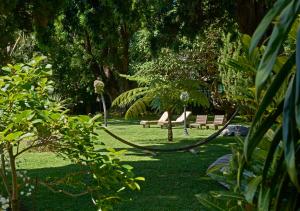 丰沙尔Quintinha Sao Joao Hotel & Spa的公园里吊床,有长椅和树木