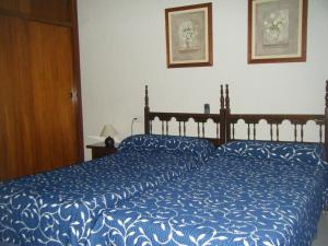 阿尔哈拉克穆里尔旅馆的一间卧室配有两张带蓝色棉被的床