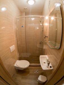 多布拉沃达Queen Apartments & Rooms的带淋浴、卫生间和盥洗盆的浴室