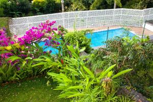 TaapunaVue Lagon et MOOREA的鲜花盛开的花园和一个游泳池