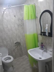 阿哈尔齐赫Vardzia的带淋浴、卫生间和盥洗盆的浴室