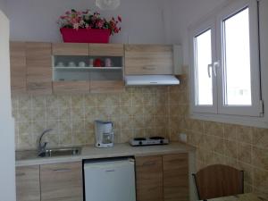 帕罗奇亚梅莱蒂斯公寓酒店的厨房配有木制橱柜、水槽和窗户。
