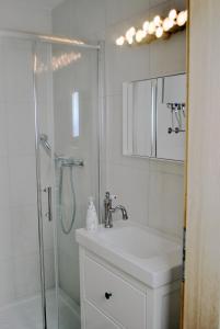 克拉尼斯卡戈拉Apartment Loyd, Kranjska Gora - studio的带淋浴和盥洗盆的白色浴室