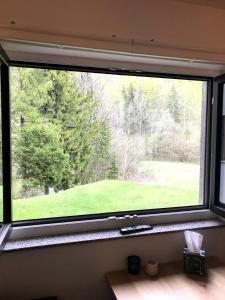 克拉尼斯卡戈拉Apartment Loyd, Kranjska Gora - studio的享有绿色田野景致的窗户