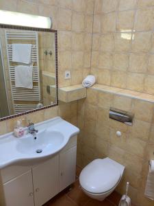 茨里克韦尼察Ivana apartman 3的一间带水槽、卫生间和镜子的浴室