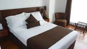 马尼萨莱斯加尔韦斯酒店的一间卧室配有一张大床和一把椅子