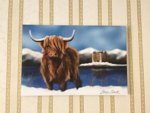 奥本Tanglin Guest House的一张站在雪地里的水牛的照片