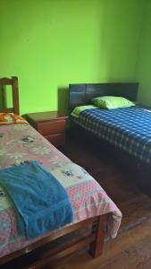 利马Habitaciones para Estudiantes Y/o Mochileros的绿墙客房内的两张床