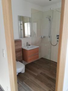 湖滨福煦哈斯尔古特旅馆的浴室配有卫生间、盥洗盆和淋浴。