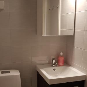 HeinävesiSuojalantie 4的一间带水槽、卫生间和镜子的浴室