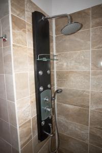 纳克索乔拉扎非里一室公寓的浴室里设有玻璃门淋浴