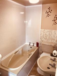 格洛斯特Spalite Hotel的带浴缸、卫生间和盥洗盆的浴室