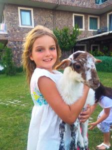 贝拉姆卡尔Assos Alis Farm Boutique Hotel & Spa的一个小女孩在院子里抱着一只小山羊