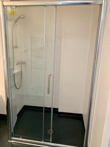 LatresneBrit Hotel Bordeaux Arena的浴室里设有玻璃门淋浴