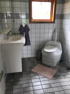 赛夫勒Värmlandsnäs Valdersrud Stenröse的一间带水槽和卫生间的浴室以及窗户。