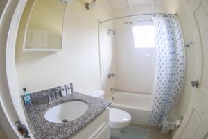 曼米湾Hibiscus Villa @ DraxHall的一间带水槽、卫生间和淋浴的浴室