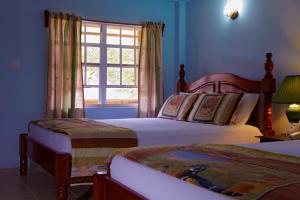 Burrell Boom黑兰花度假村酒店的一间卧室设有两张床和窗户。