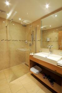 图克斯绿色之门酒店的一间带水槽和淋浴的浴室