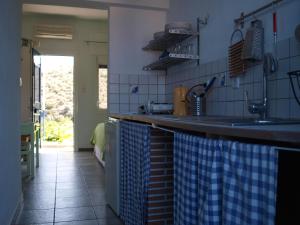 斯特尼瓦拉阿奥索斯爱坤一室公寓的厨房配有水槽和台面