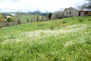 Saint-Étienne-du-ValdonnezGites La Boletiere的谷仓前的白色花田