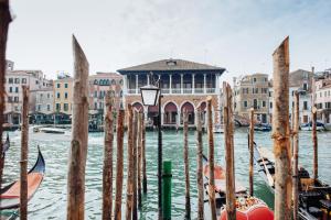 威尼斯Venice Maggior Consiglio的相册照片