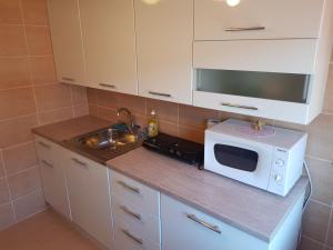 SvencelėSvencelės butas的厨房配有微波炉和水槽