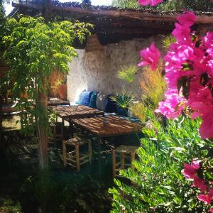索维拉Riad Sanam essaouira的花园里的一张野餐桌,花上粉红色的花朵