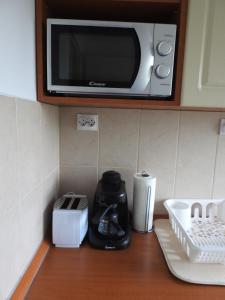 鲍洛托瑙考利Akali Apartman的厨房台面上的一个微波炉
