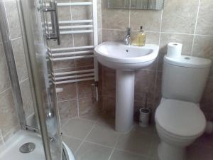 查尔斯敦Baytree B&B的浴室配有卫生间、盥洗盆和淋浴。