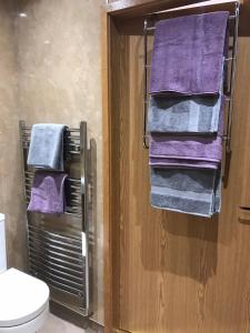 福里斯Exclusive Private double room, en-suite wet room Private entrance的浴室提供毛巾架上的紫色毛巾