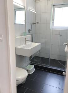 伯尔尼GreenPlace City Apartment的一间带水槽和卫生间的浴室