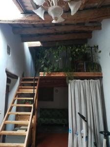 乌尔巴尼亚卢兹公寓 的天花板上配有植物的阁楼床
