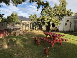 特卡波湖Tailor Made Tekapo Accommodation - Guesthouse & Hostel的院子里的野餐桌,有鸡和羊