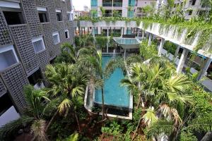 金边Baitong Hotel & Resort Phnom Penh的棕榈树建筑中游泳池的顶部景色