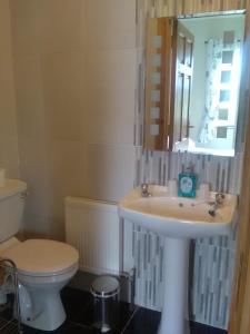 巴利纳Lisduvogue House的一间带水槽、卫生间和镜子的浴室