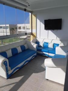 Dar HamidaOla Blanca的带沙发和平面电视的客厅