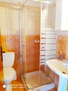 哈尔基岛Villa Chrysodimi的带淋浴、卫生间和盥洗盆的浴室