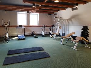 阿尔皮纳酒店的健身中心和/或健身设施