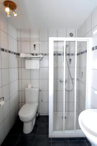 蒙梅利扬乔治酒店的浴室配有卫生间、淋浴和盥洗盆。