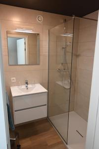 迪尔贝克B&B Dujardin的带淋浴、盥洗盆和镜子的浴室