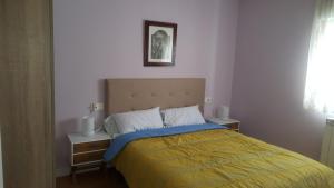 莱昂Apartamento en Avenida Quevedo的一间卧室配有一张蓝色和黄色毯子的床